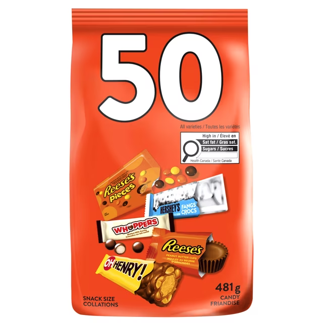 Assorted Chocolate Snack Size Candy 50 Count 481g